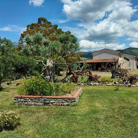 Azienda Agrituristica Verdevalle Cicerale 外观 照片