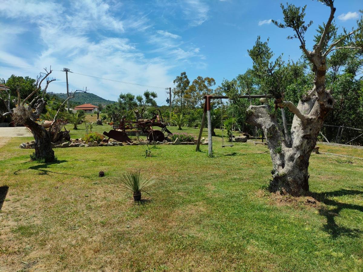 Azienda Agrituristica Verdevalle Cicerale 外观 照片